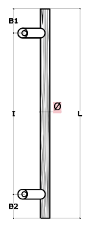 Schema 1