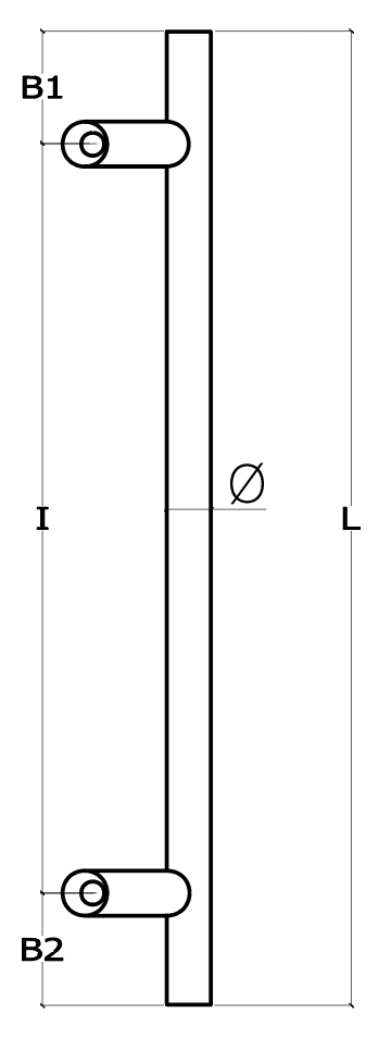 Schema 1