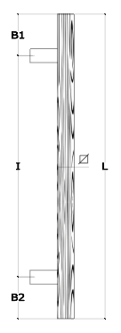 Schema 1