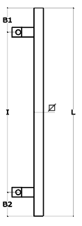 Schema 1
