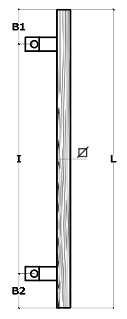 Schema 1
