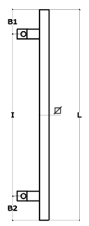 Schema 1