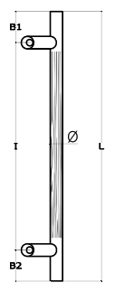 Schema 1
