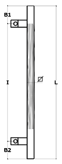 Schema 1
