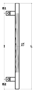 Schema 1