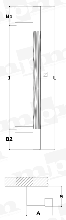 Schema 1