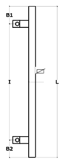 Schema 1